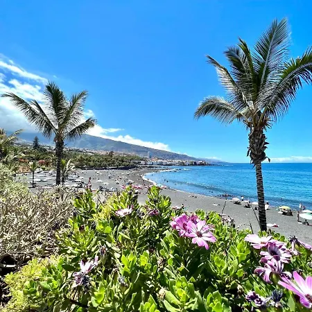 Apartment Nice Studio Pp Without Balcony,with Wifi And Heated Pool In Puerto De La Cruz