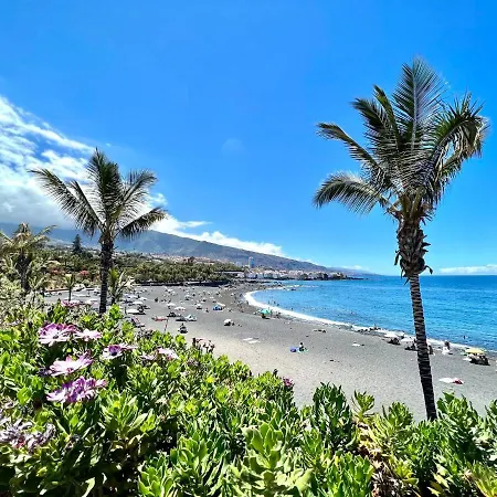 Nice Studio Pp Without Balcony,with Wifi And Heated Pool In Puerto De La Cruz *